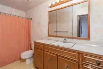 The full bathroom in the primary bedroom ensuite.