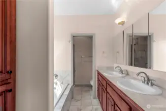 Primary bathroom