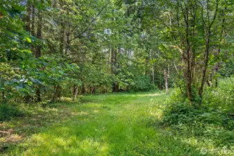View of 5 acres.