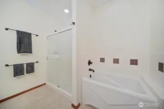 5-piece bathroom in # 1 of 2 Primary Suites