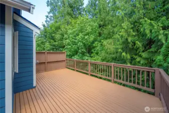 Cedar deck perfectly shaded for relaxing afternoons