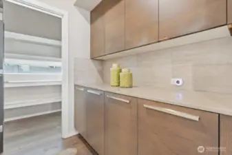 Walk-in pantry off kitchen.