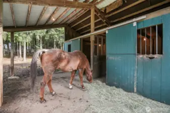 Barn 2 Stalls
