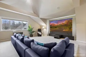 Bonus room/media room.