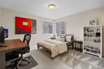 Large additional guest room with a walk-in closet.