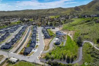 Pine Shadows Development