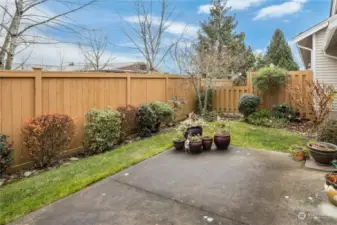 Fully-fenced back yard