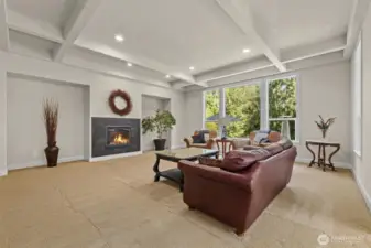 Living room & fireplace