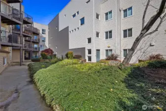 Courtyard, looking north