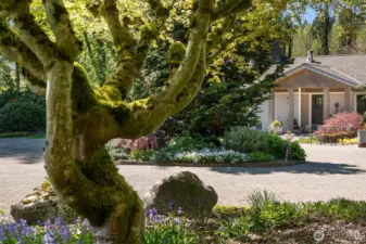 Here is the approach to the entry to the home ~ setting the tone to great you, family, friends and visitors to this wonderful property.