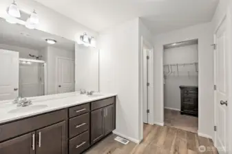Primary Bathroom with walk-in closet.