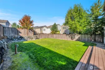 Backyard