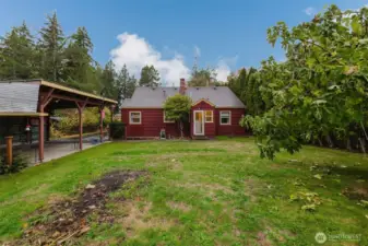 Large, spacious backyard.