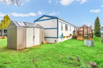 Backyard, showing one of the sheds and greenhouse.