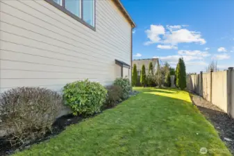 Ample lawn space for outdoor activities