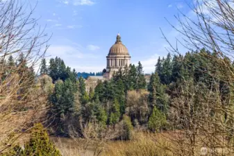 A zoomed-in shot of your view of the capitol dome.