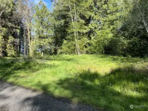 Half-way down to the beach is a cleared building site.  Septic outflow pipe is very near this site, making connection to your home a breeze.  Open up the view and it's really nice.