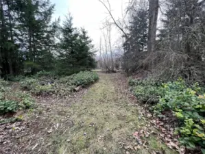 Lot has mixed brush and trees.