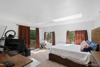 Downstairs Bedroom