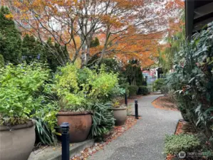 The Harwood grounds include mature shrubs and trees.