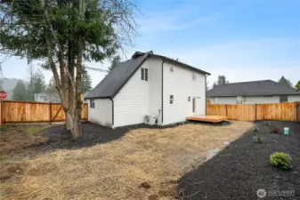 The backyard will be seeded for lush grash