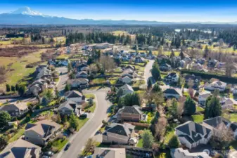 Mt Rainier and territorial views.  Walking distance to Dieringer Heights Elementary and minutes to Lake Tapps and amenities!