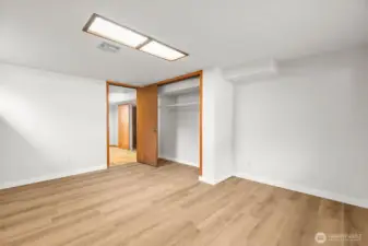 Lower floor HUGE bedroom - other view