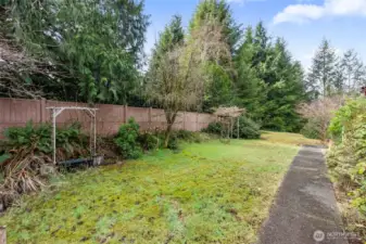 This yard looks beautiful when everything comes into bloom, and when the old pond gets revived (to the left side).  The tree in the middle of photo is believed to be a Goldenchain, or similar variety, that develops cascading yellow flower bushels!