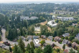 Easy access to shopping, restaurants and all transportation links. Award winning Issaquah schools!