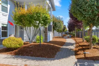 Walk way in front of house