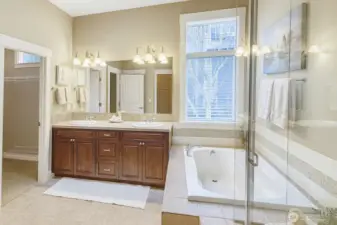 Full view of primary bath shows access to walk in closet.