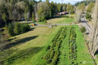 Potential Tree Farm opportunity! The Seller's have operated a Christmas Tree lot here the last few years. They have planted several types of Christmas trees as well. Ready to harvest this coming season!