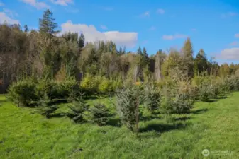 Sleigh Bells ring, are you listening?!!