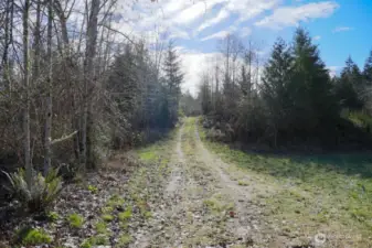 Where's the ATV? Bring your own! There's plenty of trails and small roads to transverse with leaving the property!