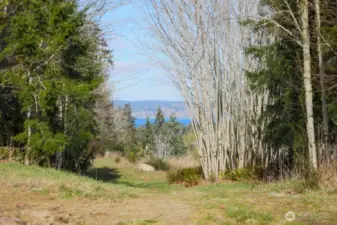 Territorial, Olympic Mountain and Hood Canal views, a year round stream, lots of wildlife. This view can be expanded, well because you will own most of these trees!