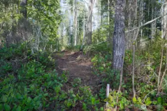 Here's a corner marker up top. There are also two water meters nearby.