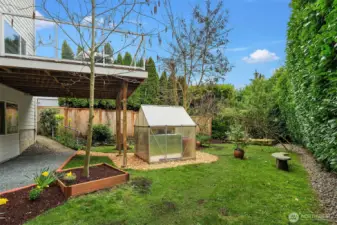 framed backyard greenery