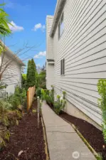 paved walk way side of the house