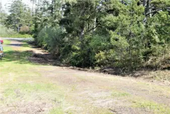 View down Claymore lane to the Hwy 105 with the treed buffer from the road.