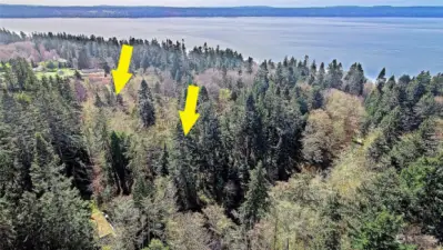 Aerial View of Area and location