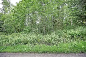 Street View on Amber Lane