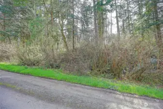 Street View on Amber Lane