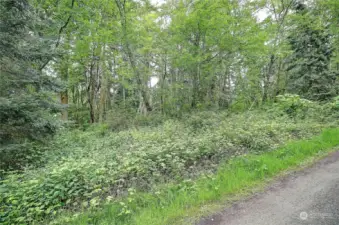 Street View on Amber Lane