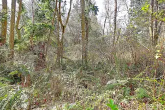 Street View on Amber Lane