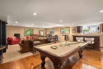 Lower level could be a mil suite or a home office.