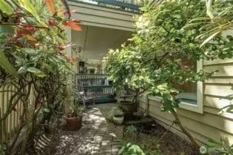 Mature plants surround the brick pathway.