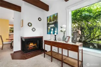 Wood burning fireplace