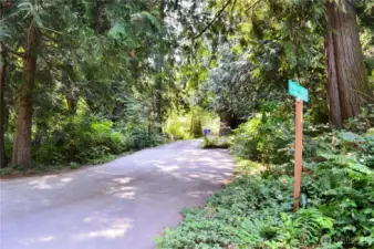 Here is where you turn into Kings View Lane from South Bay Drive.