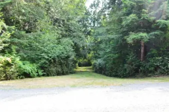 Here is where you turn left into your driveway through the woods - towards the building area.