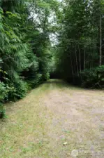 Here is the top of the property at the south west corner, looking back towards the driveway area.